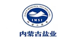 Inner Mongolia salt industry 