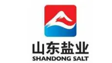 Shandong salt