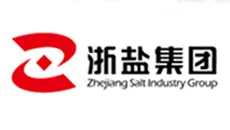 Zhejiang salt industry