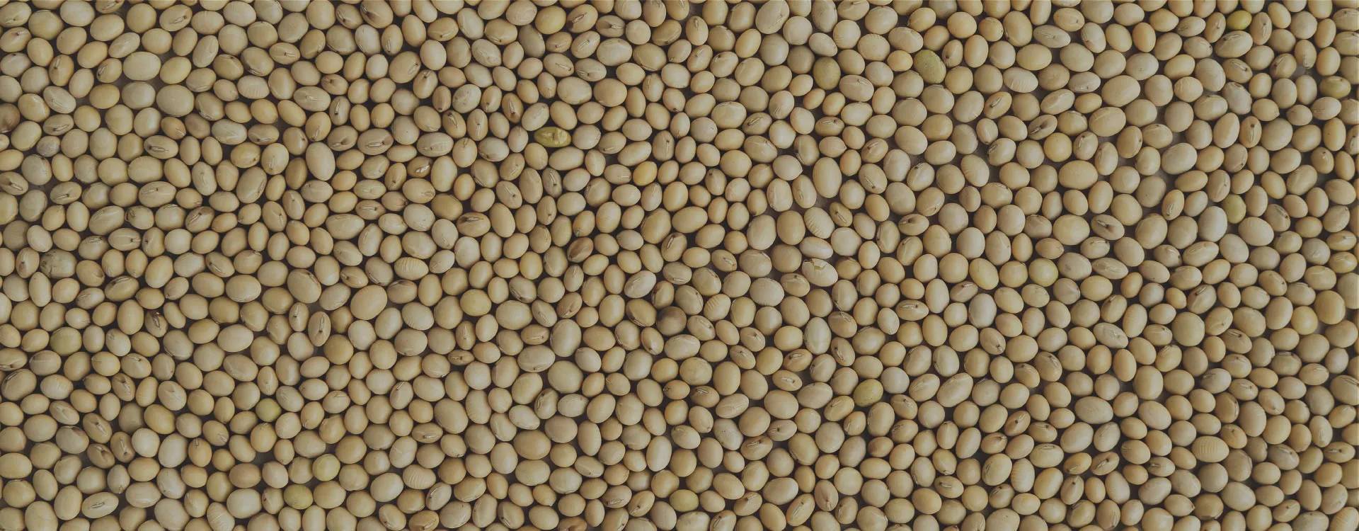 Packaging Machine in Food & Food Chemicals Industry