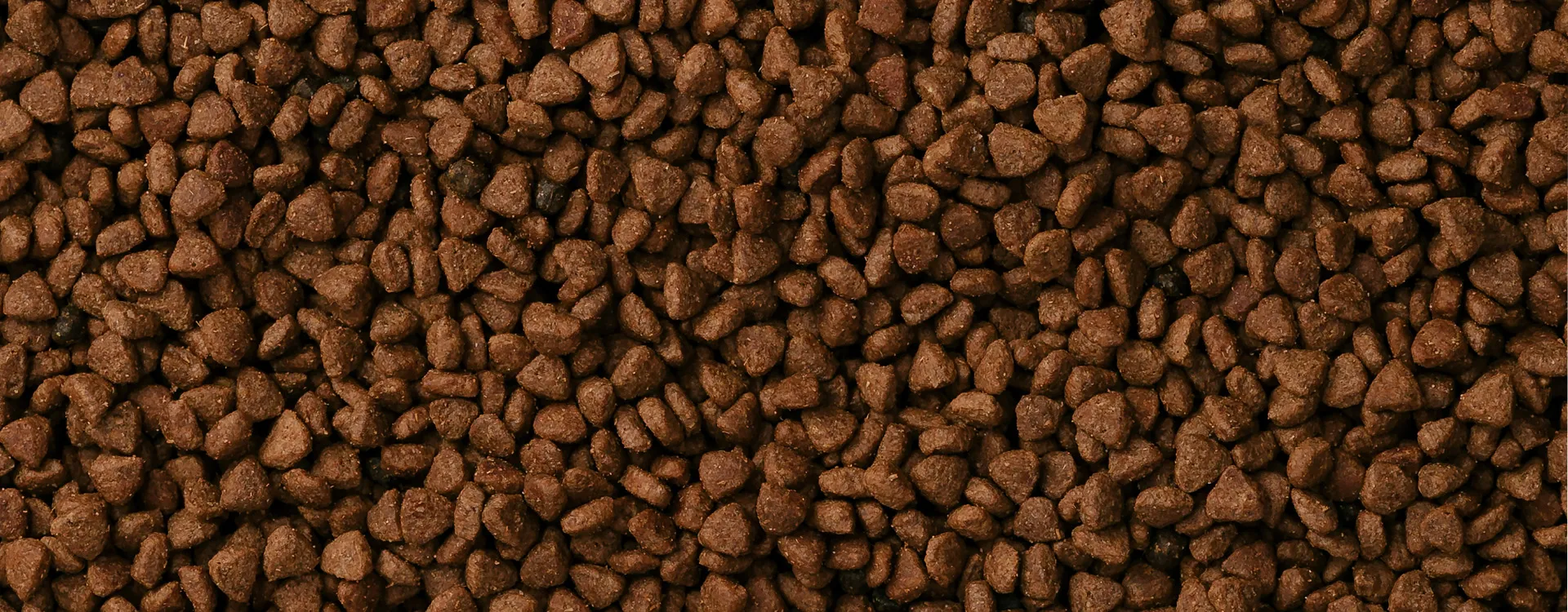 Packaging Machine in Pet Food & Animal Feed