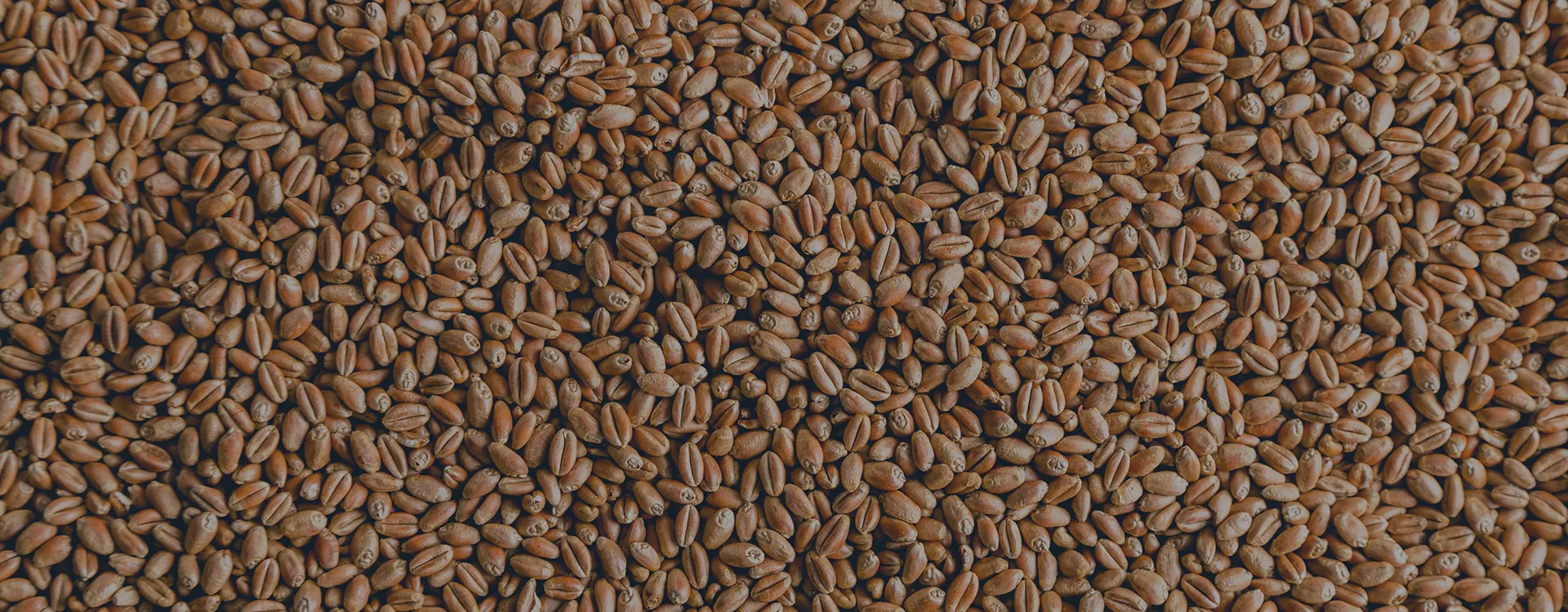 Packaging Machine in Agriculture & Crops