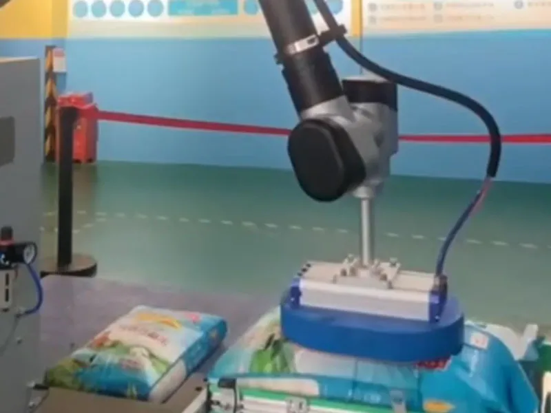 Collaborative Palletizing Collection