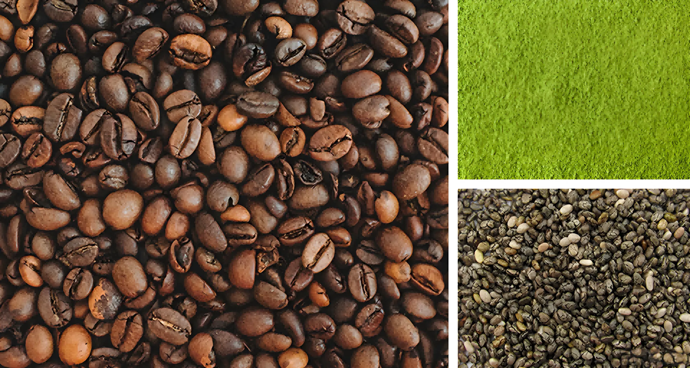 Food & Food Chemicals