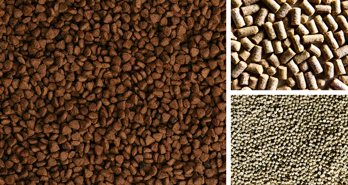 Pet Food & Animal Feed