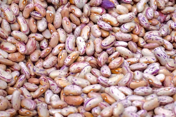 Open Mouth Bagger Material
