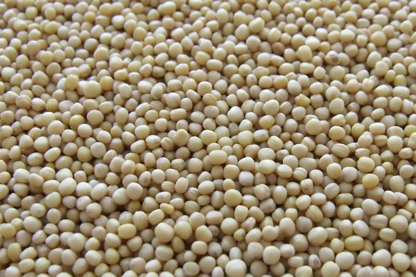 Open Mouth Bagger Material
