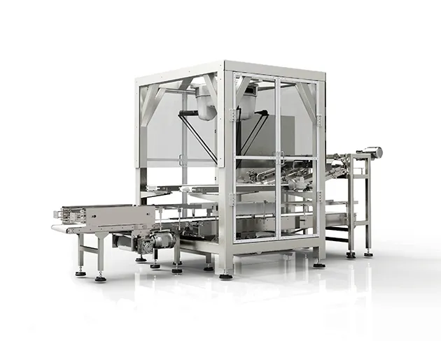 Box Filling Machine Secondary Packaging Machine