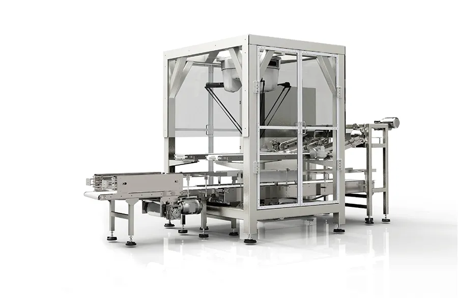 Case Packaging Machine