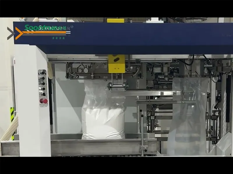GD25 FFS Packaging Machine