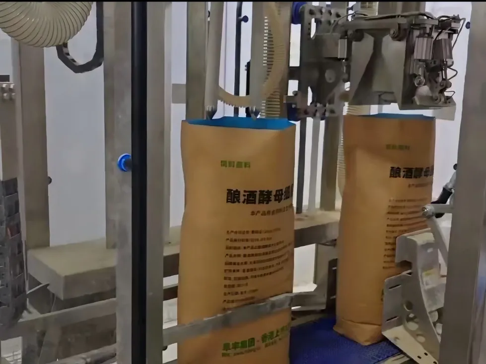 GD25DT Open Mouth Bagger 2