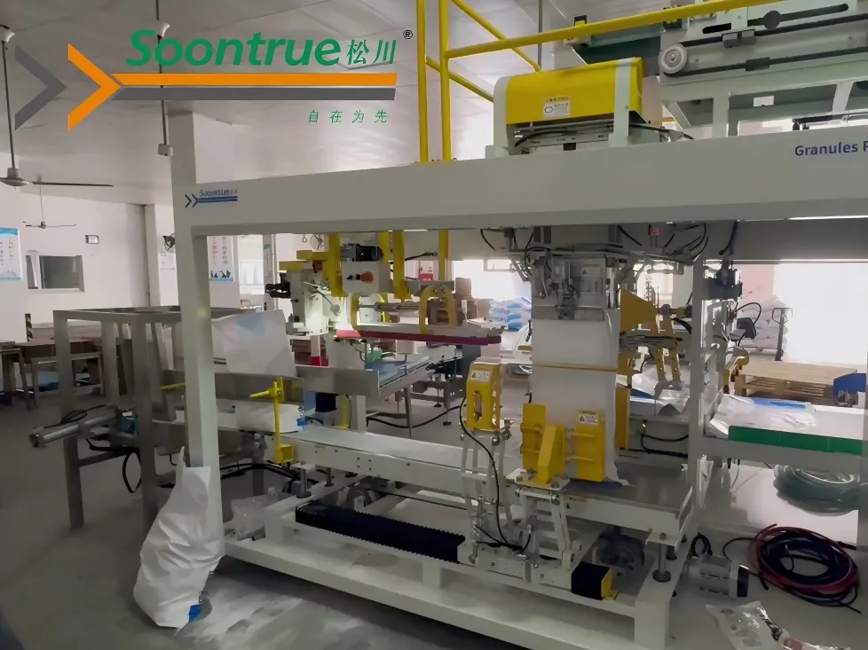 Secondary Packaging Machine Bag in Bag Packaging Machine 2